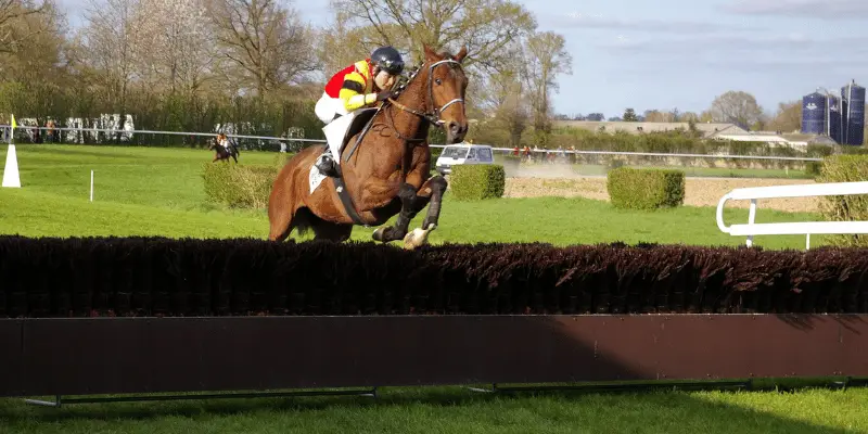 cheval de course , obstacles