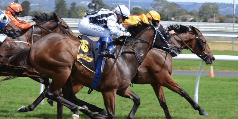 chevaux de courses galop