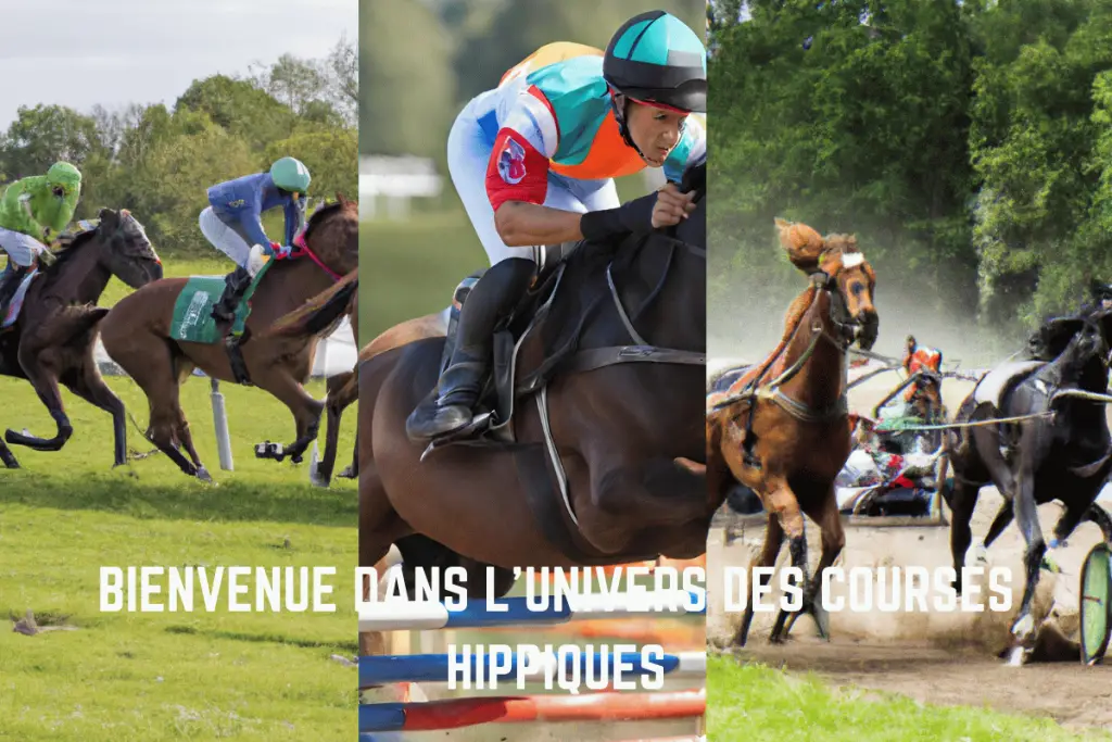 analyse , tiercé , quarté , quinté+ , pronostique courses